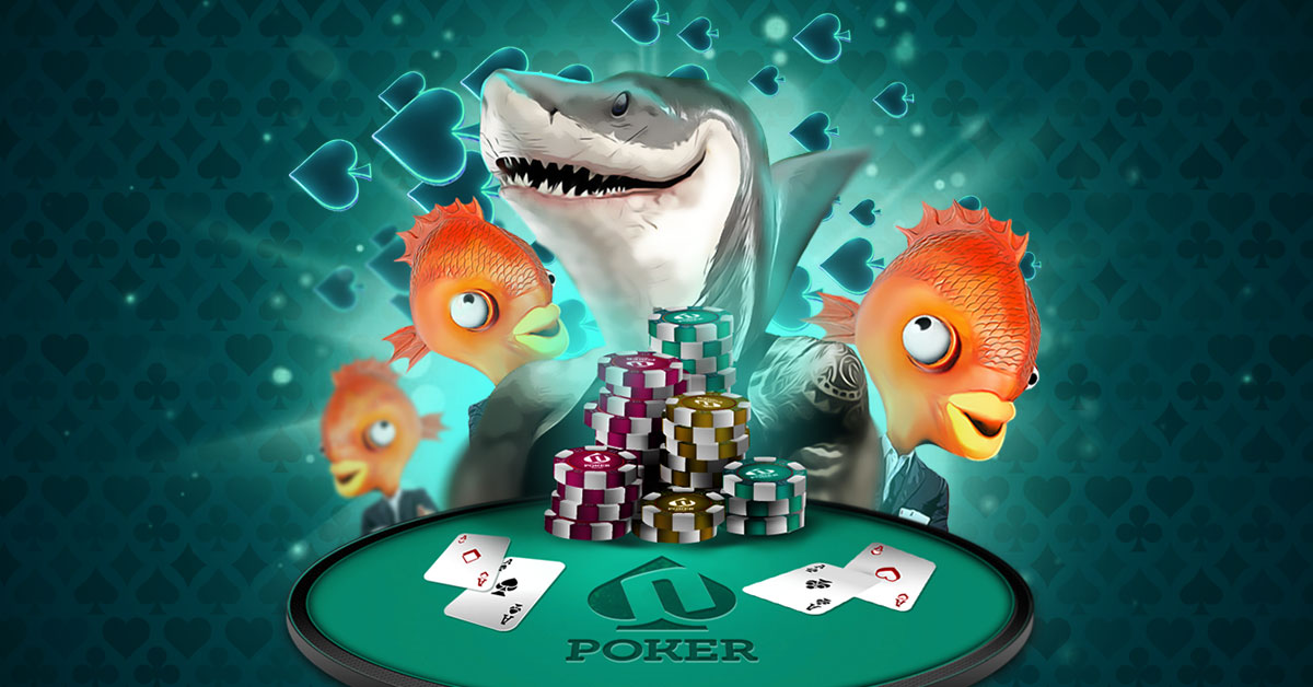 poker novibet casino