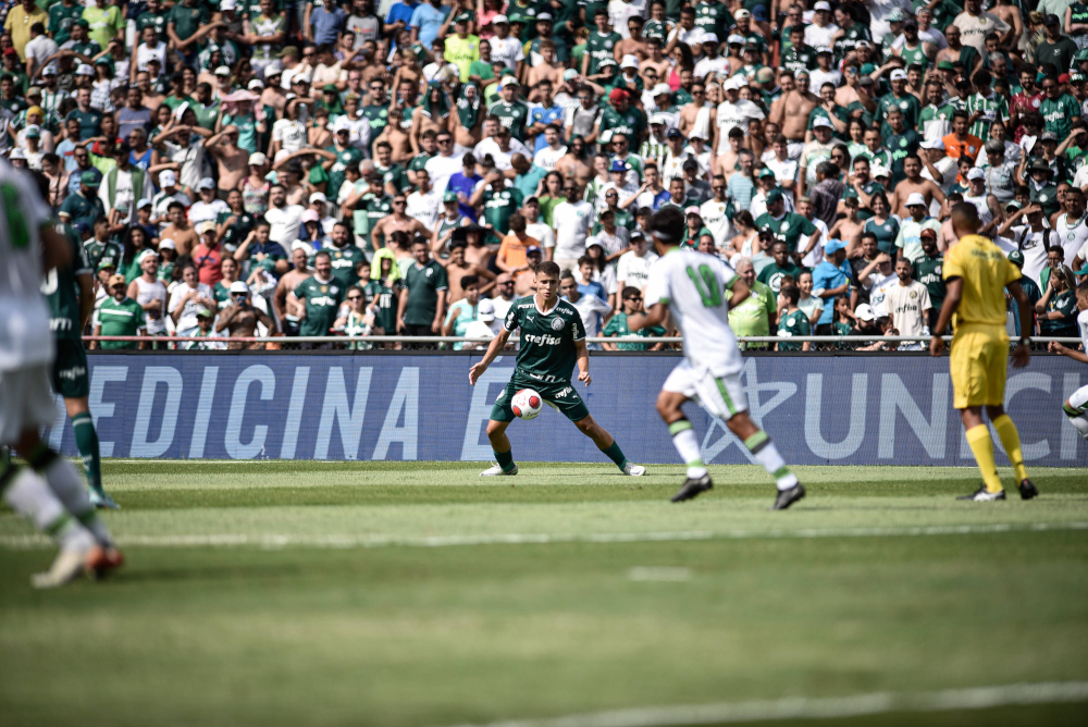 Copinha Palmeiras Novibet