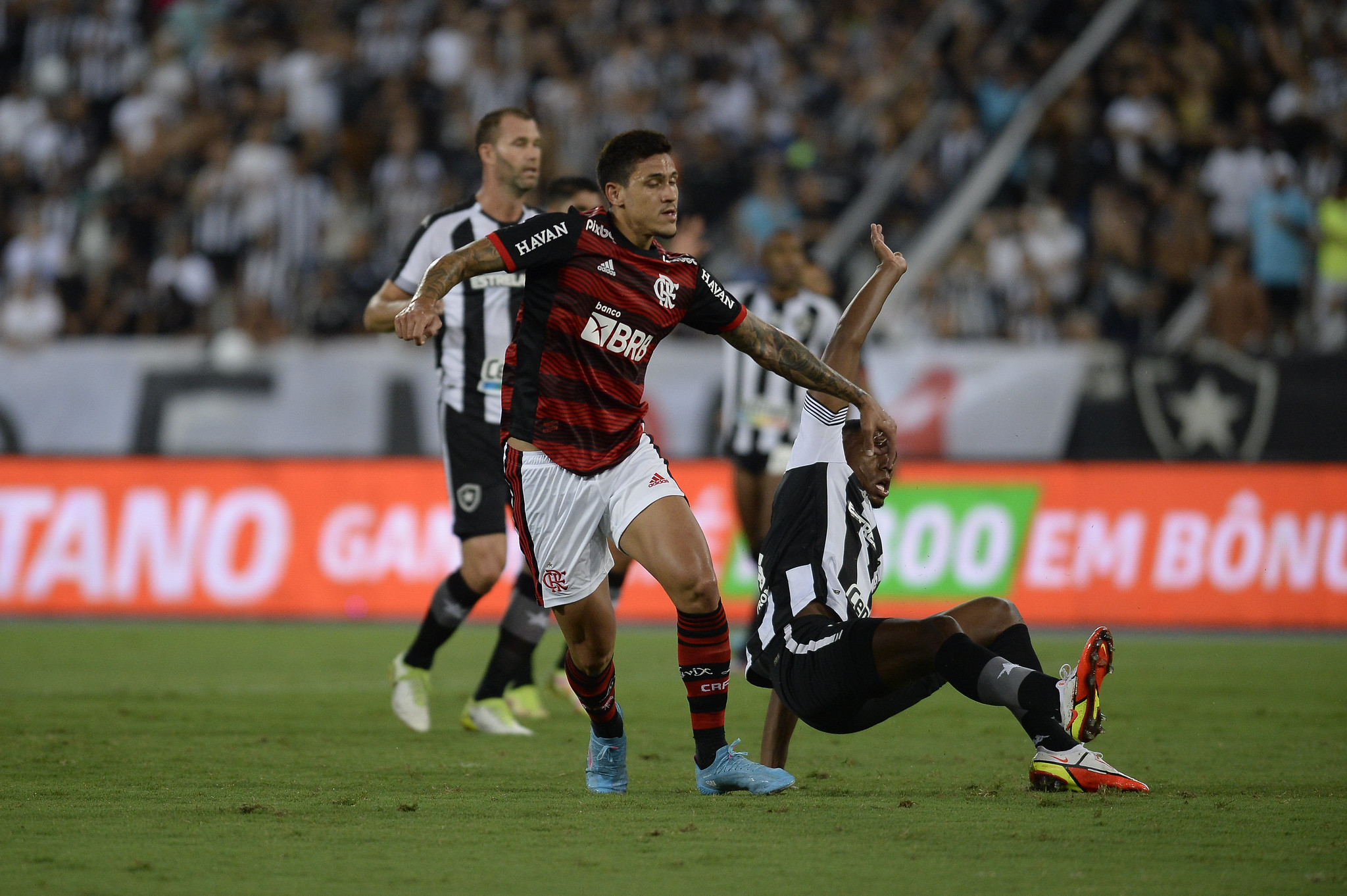 Pedro estará em campo pelo Flamengo neste domingo, contra o Botafogo.